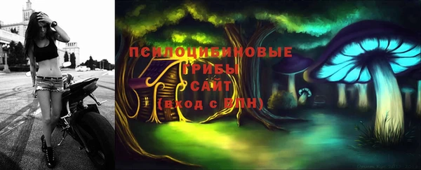 mdma Богородицк