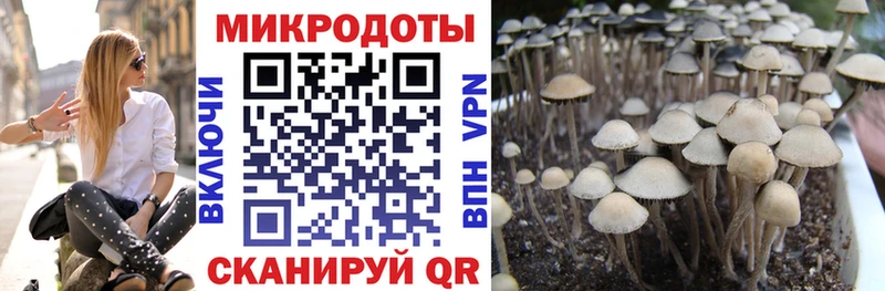 наркошоп  Сретенск  MEGA зеркало  Галлюциногенные грибы ЛСД 